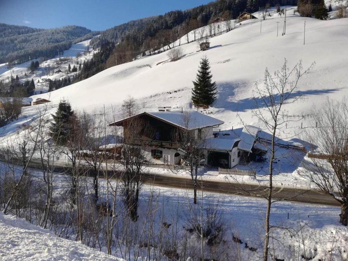 Apartment In Dienten With Mountain Views Dienten am Hochkönig Kültér fotó